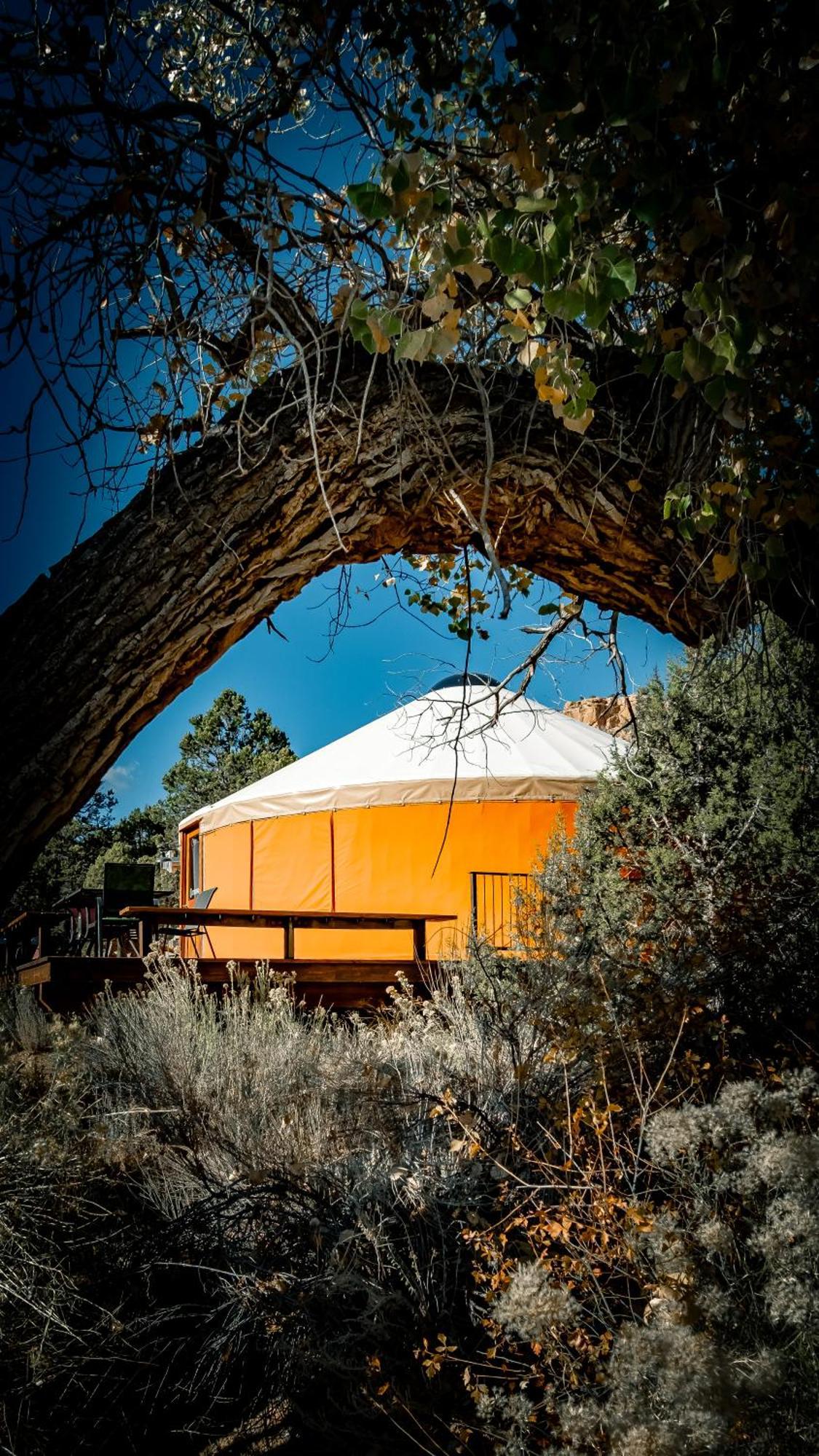Escalante Yurts - Luxury Lodging Exteriör bild